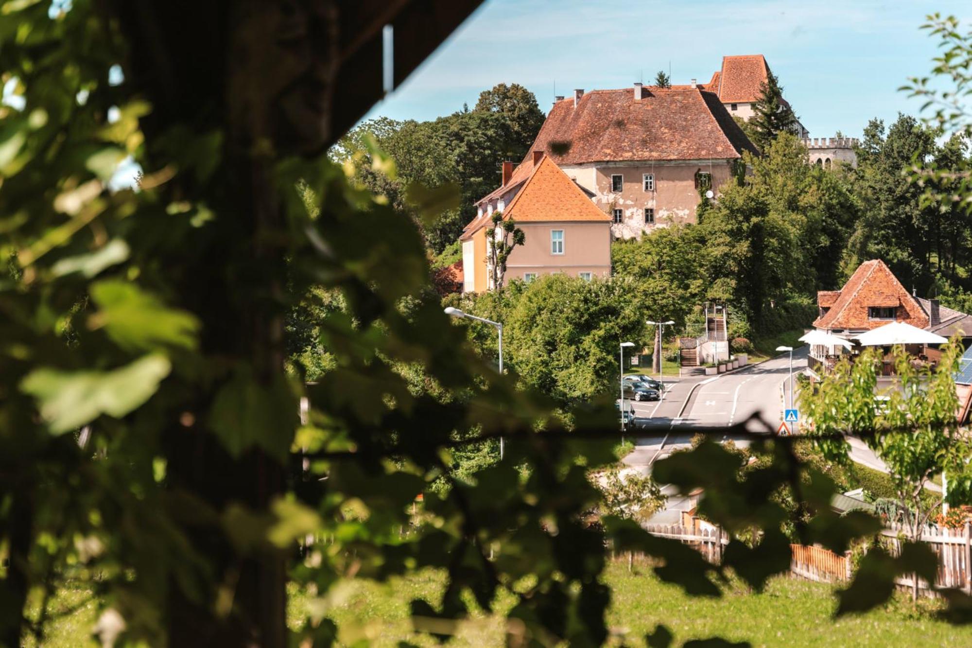 Ferienwohnungen Karin Am Seggauberg ليبنيتز المظهر الخارجي الصورة